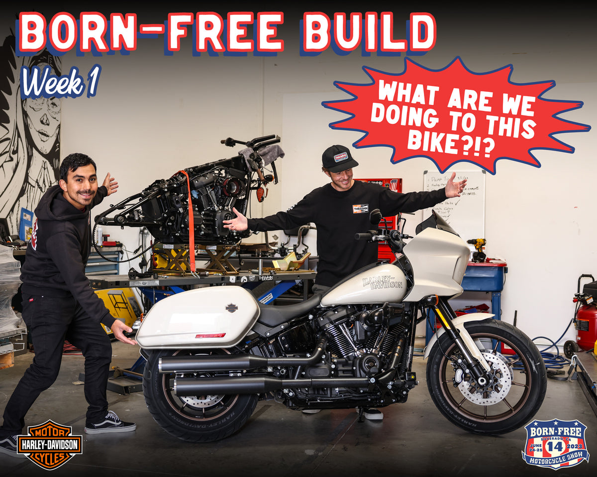 What are we doing to this Harley-Davidson Low Rider ST? Born Free Build - Week 1 - Vlog 69