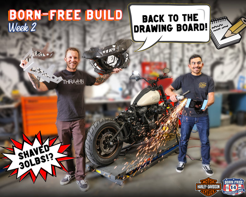 Back to the drawing board! Born-Free Build - Week 2 - Vlog 70
