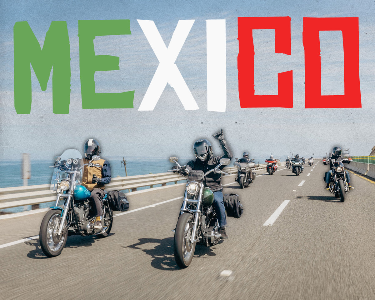 Surprise Trip to Mexico! (We Brought The Whole Crew!) - Vlog 248
