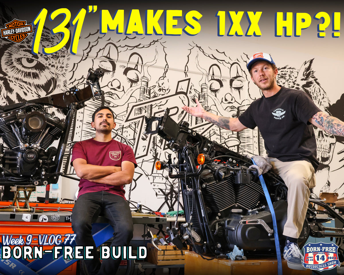Low Rider ST! Makes 1XX Horsepower? Born-Free Build Week 9 - Vlog 77