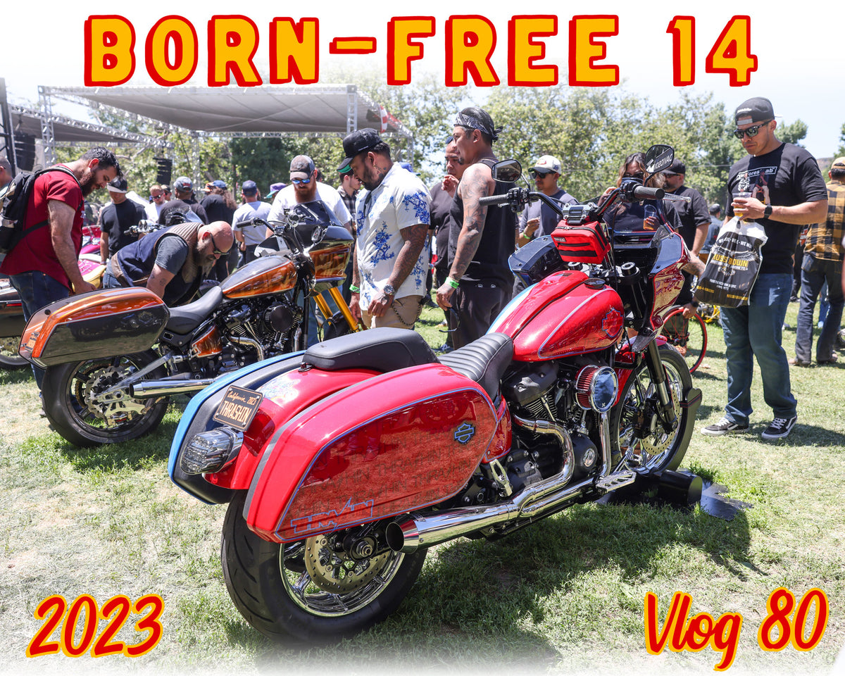 Born Free 14 • Thrashin Supply - Vlog 80