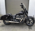 OG THRASHIN Stainless Steel 2>1 Exhaust - Dyna
